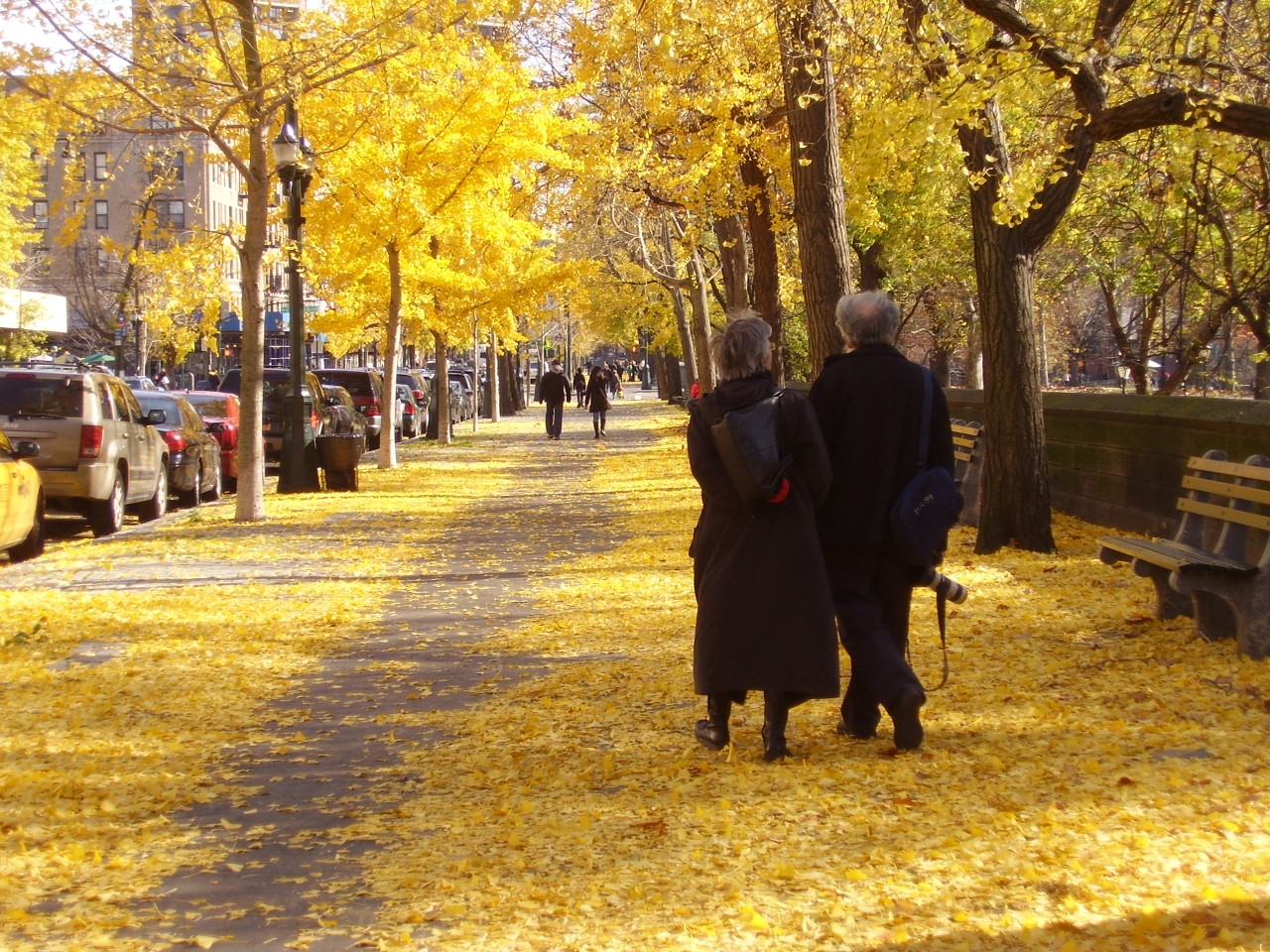 Joseph Raz and Penelope Bulloch, Central Park, New York. Photo by Alex Ward