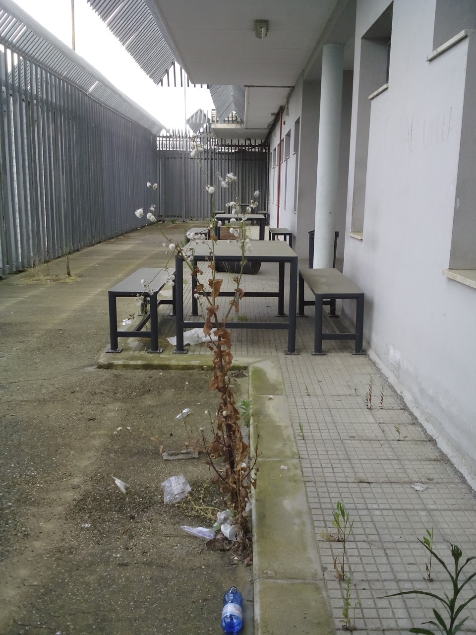 Table and benches
